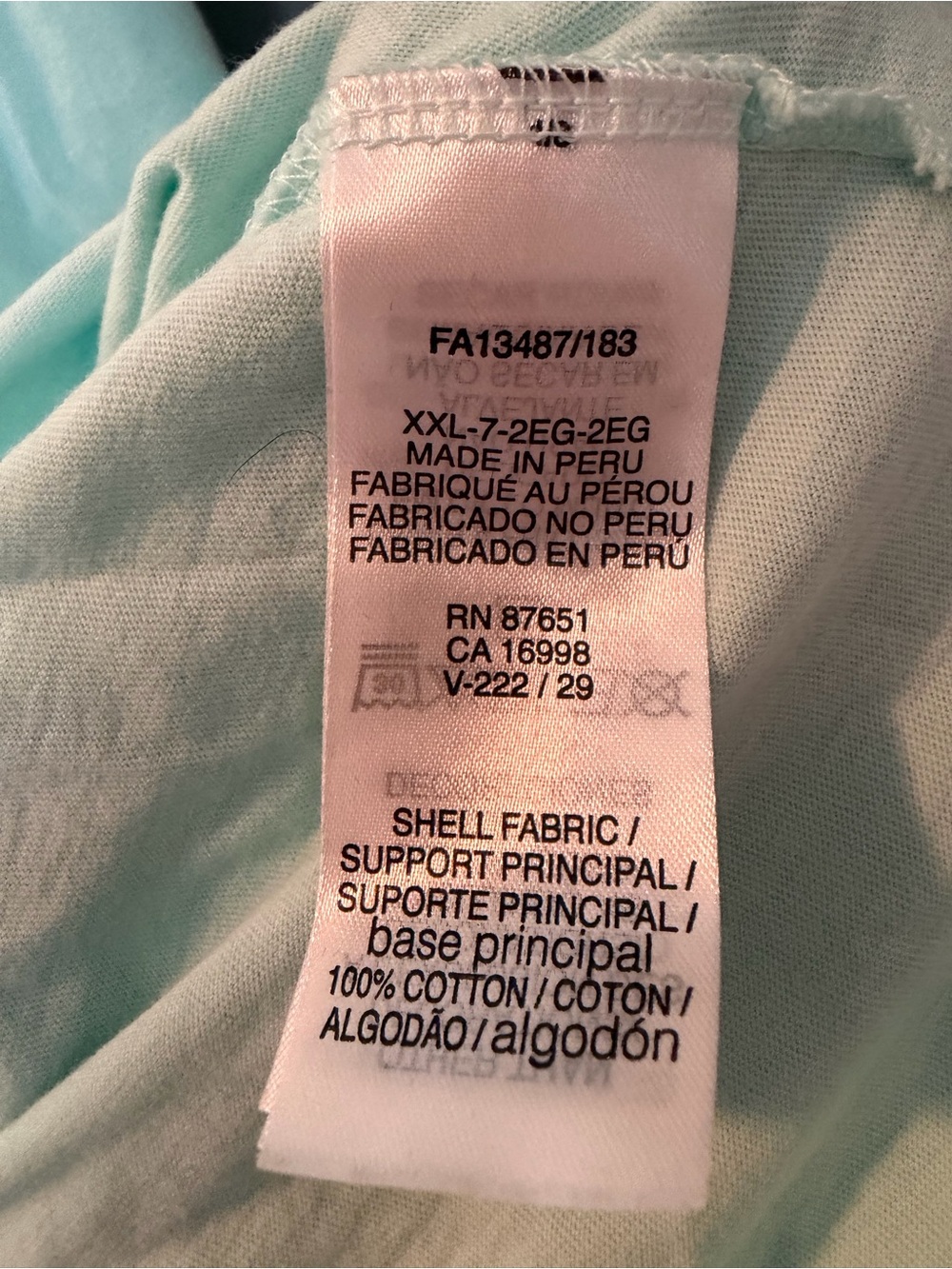Lacoste Mint Hoodie with Crocodile Logo - Picture 5 of 5